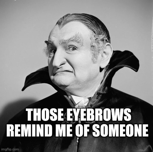 THOSE EYEBROWS REMIND ME OF SOMEONE | made w/ Imgflip meme maker