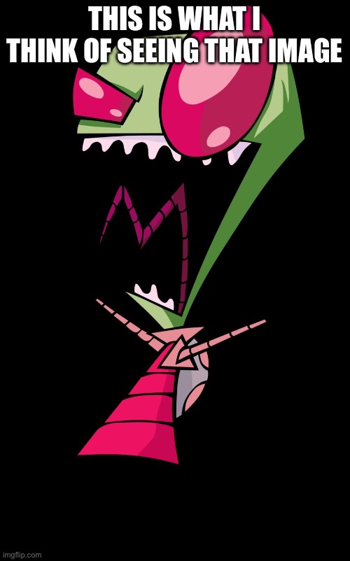 Invader Zim | THIS IS WHAT I THINK OF SEEING THAT IMAGE | image tagged in invader zim | made w/ Imgflip meme maker