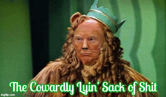 The Cowardly Lyin' | image tagged in cowerdly lyin,wizard of duz,maga or mouse,king of the boorish,trump bone spurs out on debate and 60 minutes,wizard of oz | made w/ Imgflip meme maker