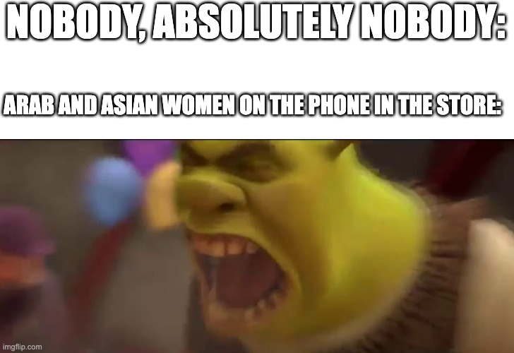 Shrek Screaming | NOBODY, ABSOLUTELY NOBODY:; ARAB AND ASIAN WOMEN ON THE PHONE IN THE STORE: | image tagged in shrek screaming | made w/ Imgflip meme maker