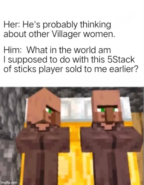 #AbusingFletchersFarmersAndCartographers4Life | image tagged in minecraft,i bet he's thinking about other women | made w/ Imgflip meme maker