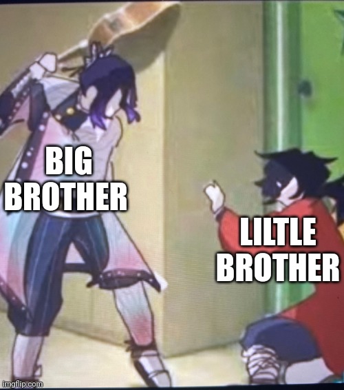 Brothers afther a mama fight | BIG BROTHER; LILTLE BROTHER | image tagged in shinibu v giyuu | made w/ Imgflip meme maker