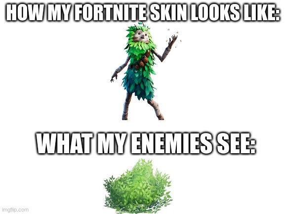 Well... is almost the same, isn't it? | HOW MY FORTNITE SKIN LOOKS LIKE:; WHAT MY ENEMIES SEE: | image tagged in blank white template,fortnite | made w/ Imgflip meme maker