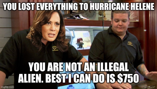 What more proof do you need? The Democrats are putting the WEF agenda ahead of the best interest of the American people | YOU LOST EVERYTHING TO HURRICANE HELENE; YOU ARE NOT AN ILLEGAL ALIEN. BEST I CAN DO IS $750 | image tagged in pawn stars best i can do,fema,wef,illegals,priority,democrats | made w/ Imgflip meme maker