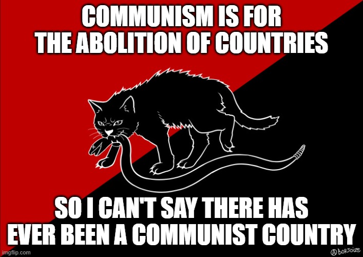 no country has ever been communist | COMMUNISM IS FOR THE ABOLITION OF COUNTRIES; SO I CAN'T SAY THERE HAS EVER BEEN A COMMUNIST COUNTRY | image tagged in sabo cat with snake,communist,countries | made w/ Imgflip meme maker