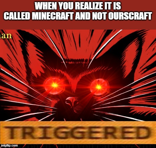 triggered cat | WHEN YOU REALIZE IT IS CALLED MINECRAFT AND NOT OURSCRAFT | image tagged in sabo tabby,triggered,minecraft,communist,communist cat,cats | made w/ Imgflip meme maker