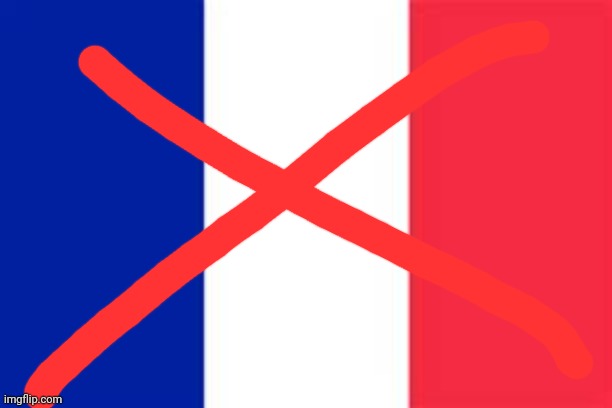 I hâte france | image tagged in france flag | made w/ Imgflip meme maker