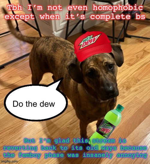 Do the dew | Tbh I’m not even homophobic except when it’s complete bs; But I’m glad this stream is reverting back to its old ways because the femboy phase was insanely annoying | image tagged in do the dew | made w/ Imgflip meme maker