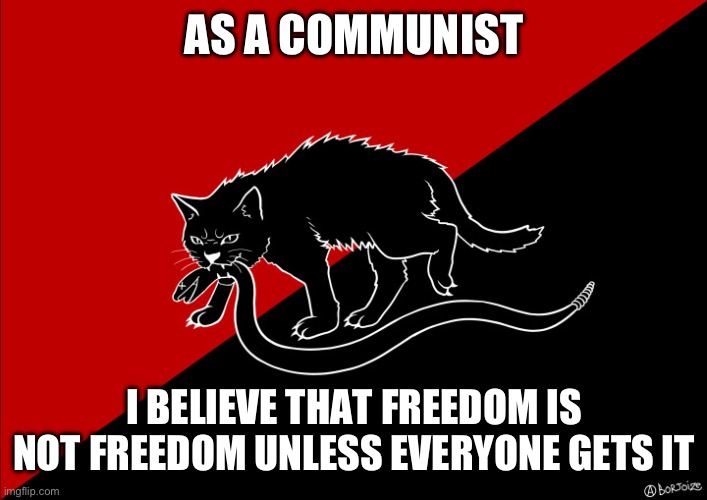 If it doesn't apply to everyone, it's not freedom. It's privilege. | AS A COMMUNIST; I BELIEVE THAT FREEDOM IS NOT FREEDOM UNLESS EVERYONE GETS IT | image tagged in sabo cat with snake,freedom,communist | made w/ Imgflip meme maker