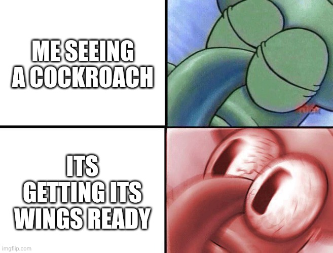 Oh neck naw I'm out | ME SEEING A COCKROACH; ITS GETTING ITS WINGS READY | image tagged in cockroach,squidward | made w/ Imgflip meme maker