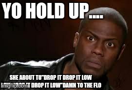 Kevin Hart | YO HOLD UP.... SHE ABOUT TO"DROP IT DROP IT LOW LOW DROP IT DROP IT LOW"DAMN TO THE FLO | image tagged in memes,kevin hart the hell | made w/ Imgflip meme maker