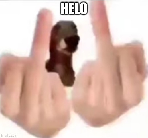 fuck you | HELO | image tagged in fuck you | made w/ Imgflip meme maker