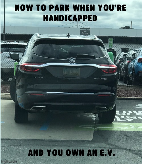 Mentally Handicapped? | image tagged in mental handicap | made w/ Imgflip meme maker