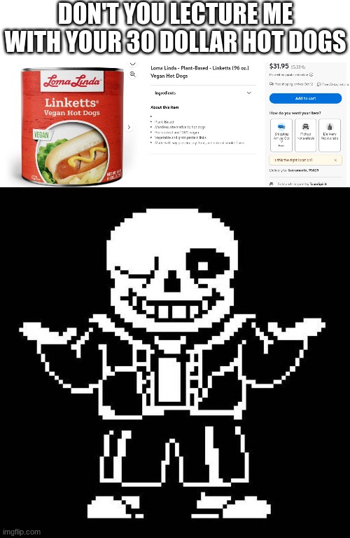 Don't you lecture me with your 30 dollar hot dogs! | DON'T YOU LECTURE ME WITH YOUR 30 DOLLAR HOT DOGS | image tagged in sans undertale | made w/ Imgflip meme maker