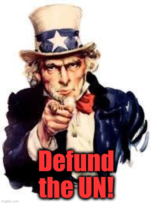 We Want you | Defund
the UN! | image tagged in we want you | made w/ Imgflip meme maker