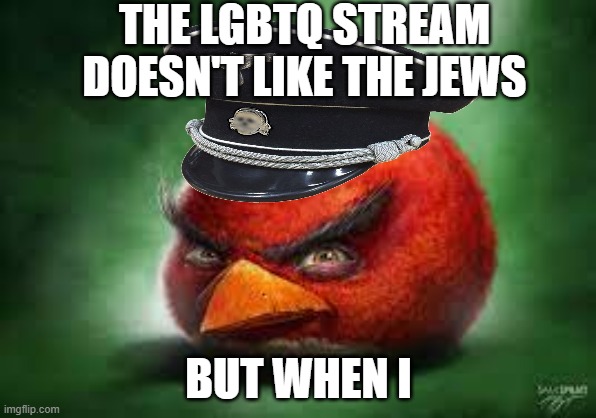 Realistic Red Angry Birds | THE LGBTQ STREAM DOESN'T LIKE THE JEWS; BUT WHEN I | image tagged in realistic red angry birds | made w/ Imgflip meme maker