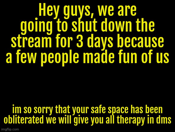 cyrus temp | Hey guys, we are going to shut down the stream for 3 days because a few people made fun of us; im so sorry that your safe space has been obliterated we will give you all therapy in dms | image tagged in cyrus temp | made w/ Imgflip meme maker