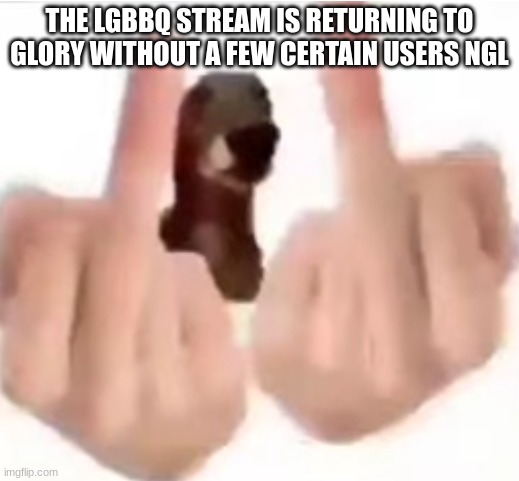 fuck you | THE LGBBQ STREAM IS RETURNING TO GLORY WITHOUT A FEW CERTAIN USERS NGL | image tagged in fuck you | made w/ Imgflip meme maker