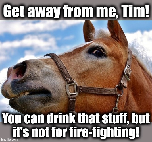 Get away from me, Tim! You can drink that stuff, but
it's not for fire-fighting! | made w/ Imgflip meme maker