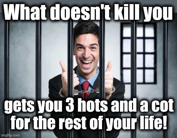 What doesn't kill you gets you 3 hots and a cot
for the rest of your life! | made w/ Imgflip meme maker