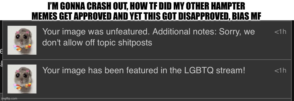 Just wanted to post hamster ._. (I keep getting spammed hamster images by my friend) | I’M GONNA CRASH OUT, HOW TF DID MY OTHER HAMPTER MEMES GET APPROVED AND YET THIS GOT DISAPPROVED, BIAS MF | made w/ Imgflip meme maker