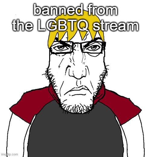 InvaderPissBaby | banned from the LGBTQ stream | made w/ Imgflip meme maker