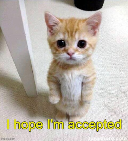 Cute Cat | I hope I'm accepted | image tagged in memes,cute cat | made w/ Imgflip meme maker