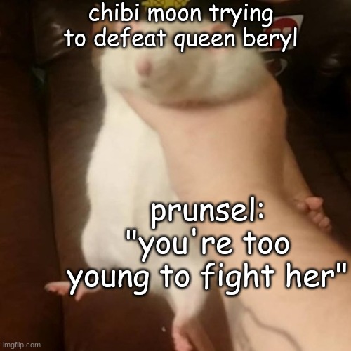 in another sailor moon AU | chibi moon trying to defeat queen beryl; prunsel: "you're too young to fight her" | image tagged in grabbing a fat rat | made w/ Imgflip meme maker