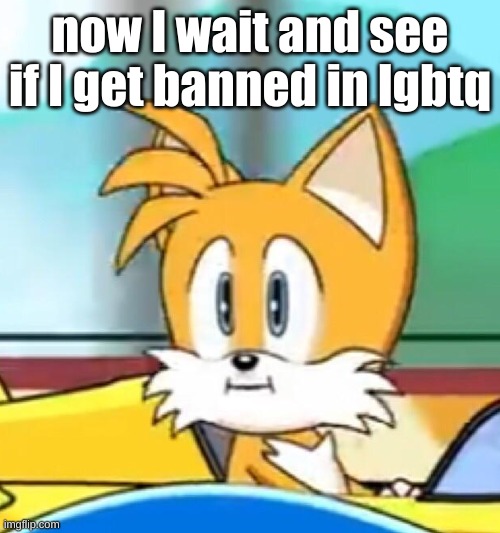 I've been a little chaotic | now I wait and see if I get banned in lgbtq | image tagged in tails hold up | made w/ Imgflip meme maker