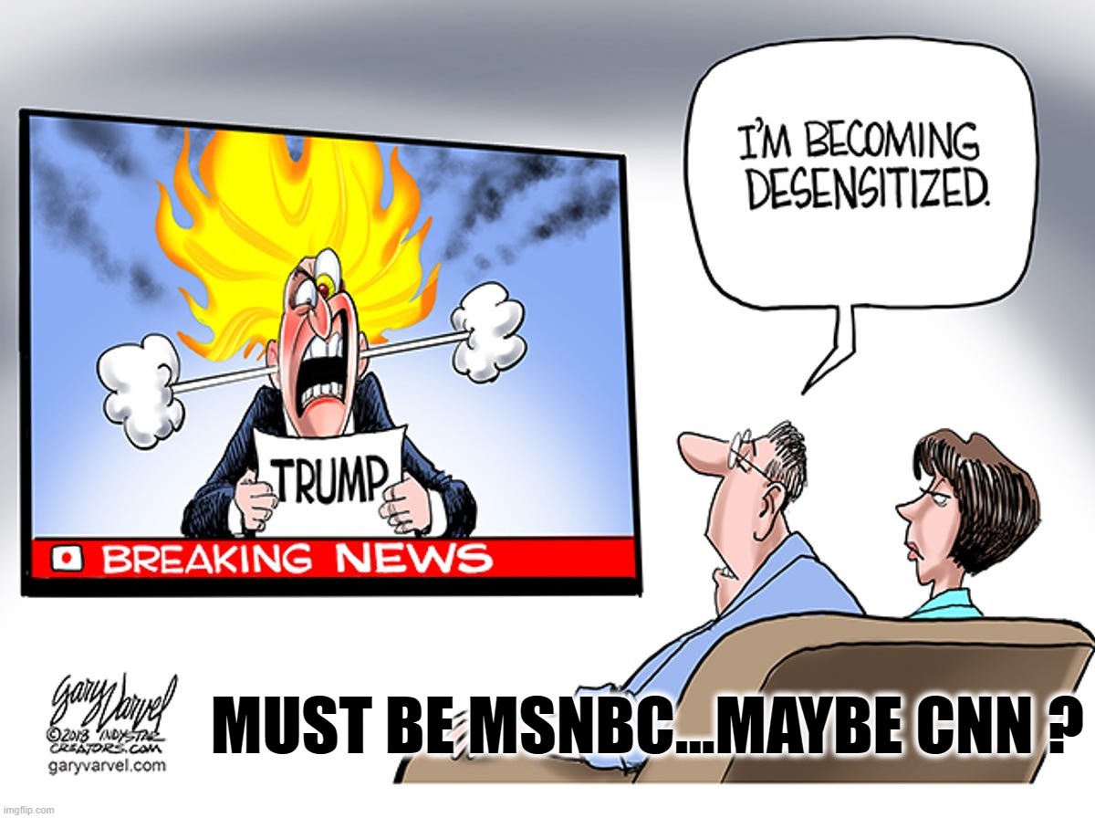 TDS OVERLOAD | MUST BE MSNBC...MAYBE CNN ? | image tagged in tds,trump derangement syndrome,hateful,crazed,murderous,unhinged | made w/ Imgflip meme maker