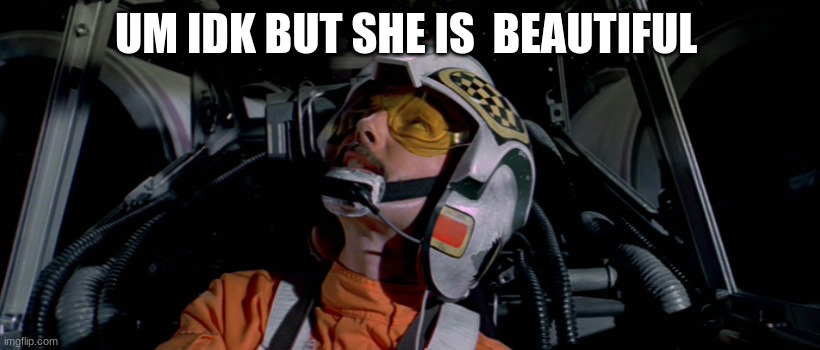 x wing pilot | UM IDK BUT SHE IS  BEAUTIFUL | image tagged in x wing pilot | made w/ Imgflip meme maker