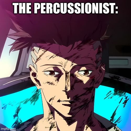 It is what it is | THE PERCUSSIONIST: | image tagged in it is what it is | made w/ Imgflip meme maker