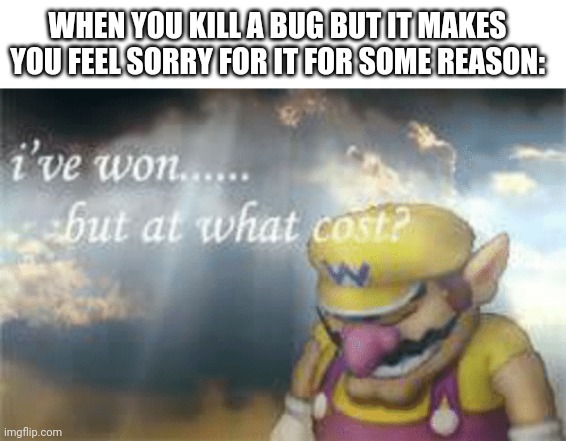 Bugs | WHEN YOU KILL A BUG BUT IT MAKES YOU FEEL SORRY FOR IT FOR SOME REASON: | image tagged in i've won but at what cost,bugs,wario | made w/ Imgflip meme maker