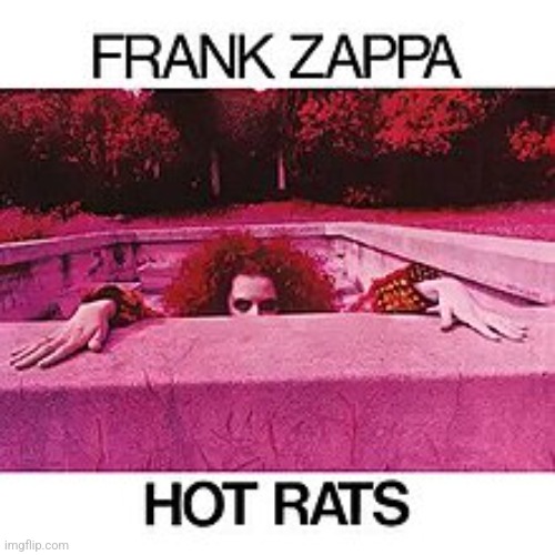 Hot Rats by Frank Zappa. I daresay this is an absolutly perfect album | image tagged in hot rats,frank zappa,1969,jazz fusion | made w/ Imgflip meme maker