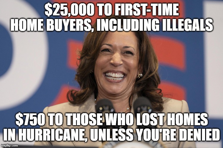 The Commu-socialist (formerly known as Democrat) Party Hates US Citizens | $25,000 TO FIRST-TIME HOME BUYERS, INCLUDING ILLEGALS; $750 TO THOSE WHO LOST HOMES IN HURRICANE, UNLESS YOU'RE DENIED | image tagged in democrat party,communist socialist,cultural marxism,illegals,kamala harris | made w/ Imgflip meme maker