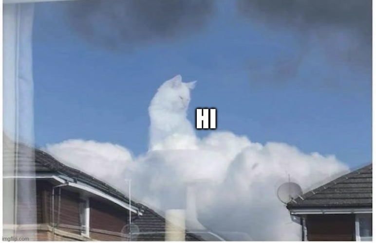 Hi | HI | image tagged in god s cat | made w/ Imgflip meme maker