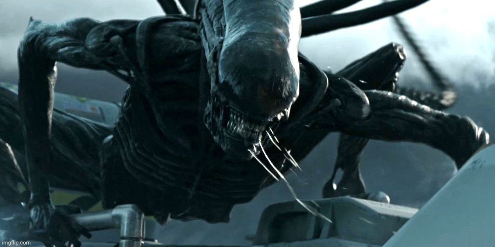 Hungry Xenomorph Gourmet | image tagged in hungry xenomorph gourmet | made w/ Imgflip meme maker