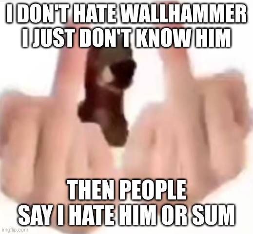 fuck you | I DON'T HATE WALLHAMMER I JUST DON'T KNOW HIM; THEN PEOPLE SAY I HATE HIM OR SUM | image tagged in fuck you | made w/ Imgflip meme maker