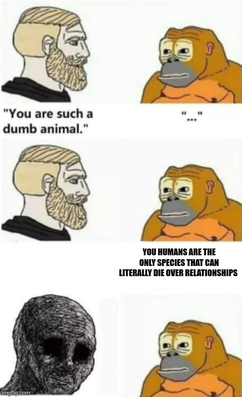 your such a dumb animal | YOU HUMANS ARE THE ONLY SPECIES THAT CAN LITERALLY DIE OVER RELATIONSHIPS | image tagged in your such a dumb animal | made w/ Imgflip meme maker