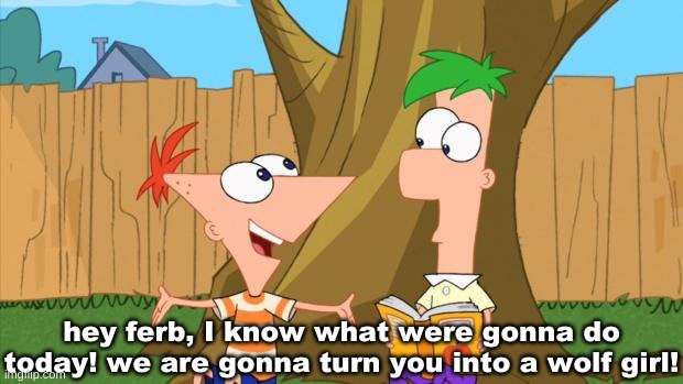 Phineas & Ferb | hey ferb, I know what were gonna do today! we are gonna turn you into a wolf girl! | image tagged in phineas ferb | made w/ Imgflip meme maker