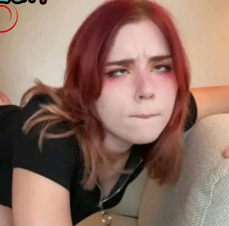 Sweti fox Blank Meme Template