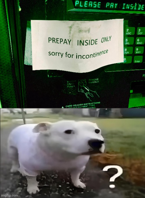 Pay inside or prepay inside? | image tagged in huh dog,pay,prepay,you had one job,memes,irony | made w/ Imgflip meme maker