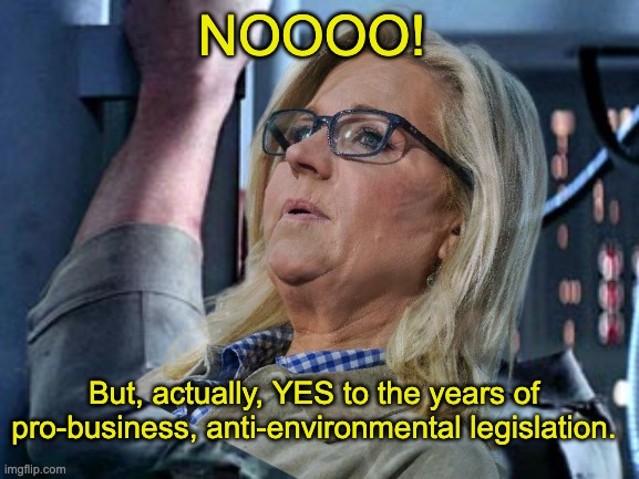 Luke Skywalker Noooo | NOOOO! But, actually, YES to the years of pro-business, anti-environmental legislation. | image tagged in luke skywalker noooo | made w/ Imgflip meme maker