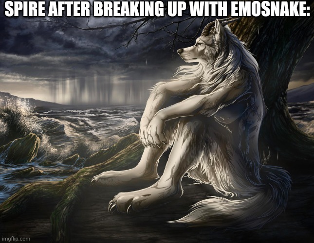 Sitting Wolf | SPIRE AFTER BREAKING UP WITH EMOSNAKE: | image tagged in sitting wolf | made w/ Imgflip meme maker