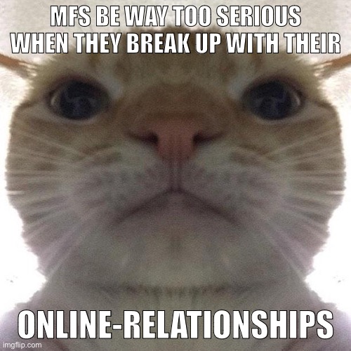 Staring Cat/Gusic | MFS BE WAY TOO SERIOUS WHEN THEY BREAK UP WITH THEIR; ONLINE-RELATIONSHIPS | image tagged in staring cat/gusic | made w/ Imgflip meme maker