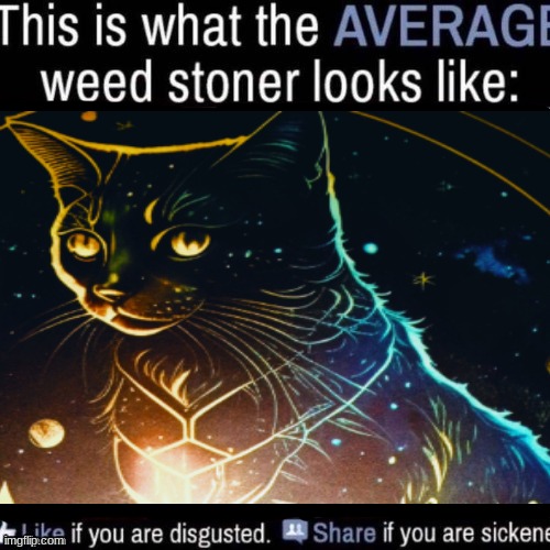 average weed stoner | image tagged in average weed stoner | made w/ Imgflip meme maker