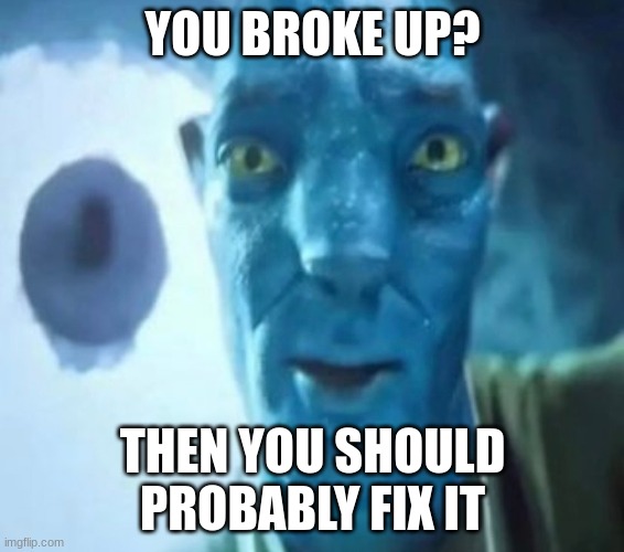 Avatar guy | YOU BROKE UP? THEN YOU SHOULD PROBABLY FIX IT | image tagged in avatar guy | made w/ Imgflip meme maker