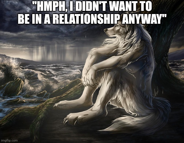 Sitting Wolf | "HMPH, I DIDN'T WANT TO BE IN A RELATIONSHIP ANYWAY" | image tagged in sitting wolf | made w/ Imgflip meme maker