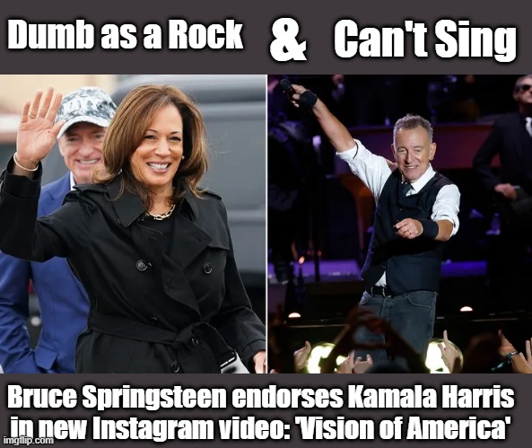 &; Can't Sing; Dumb as a Rock; Bruce Springsteen endorses Kamala Harris in new Instagram video: 'Vision of America' | made w/ Imgflip meme maker