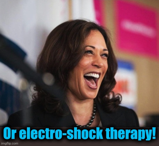 cackling kamala harris | Or electro-shock therapy! | image tagged in cackling kamala harris | made w/ Imgflip meme maker